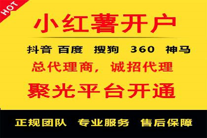 大数据分析在竞价广告中的应用
